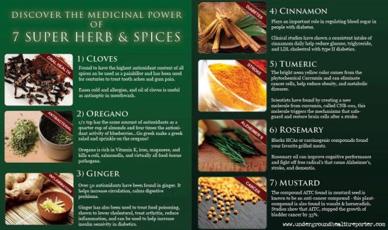 Medicinal Power - Herbs & Spices