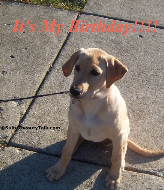 Three months old & nonstop energy.  