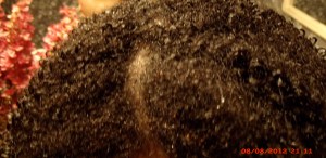 My hair texture before using The Curly Girl Method